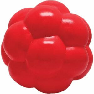 dd-6855-300x300 Soft Flex Molecule Dog Toy