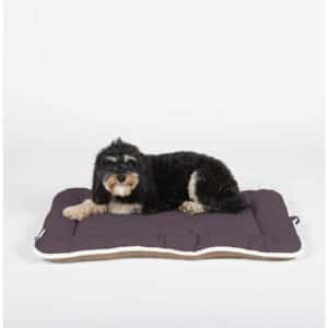 Pet Cotton Canvas Sleeper Cushion