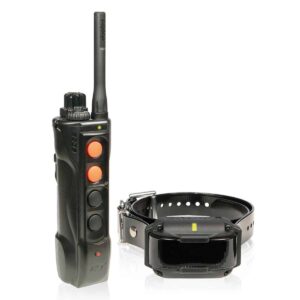 edge-rt-300x300 Dogtra Edge RT 1 Mile Expandable Dog Remote Trainer