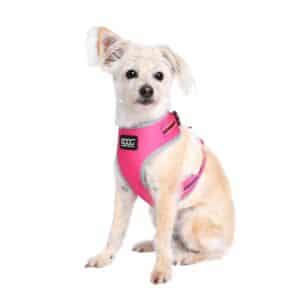 Neoflex Dog Harness Lady Neon