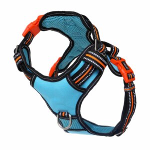 hartechbeet-l-300x300 Neotech Dog Harness Beethoven-L