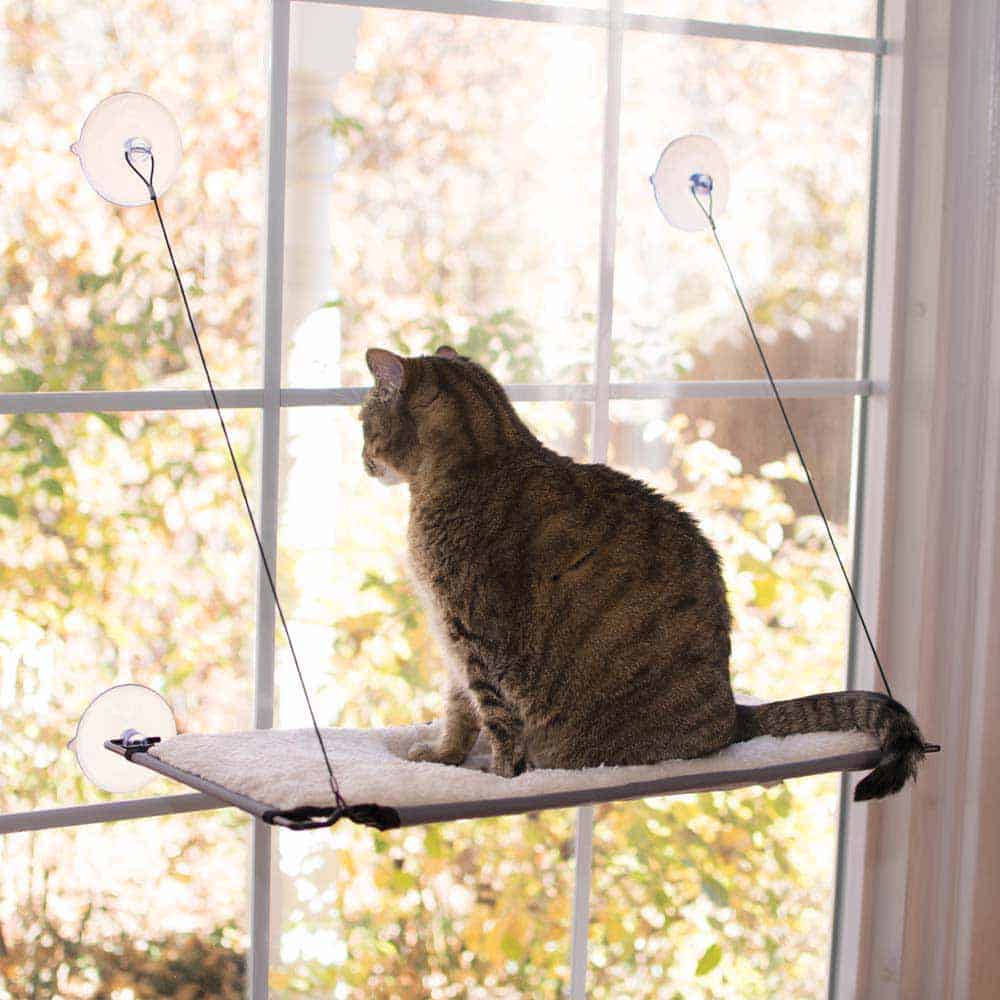 kh100213559 Window Lounger Cat Perch