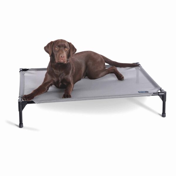kh100213624-600x600 All Weather Pet Cot