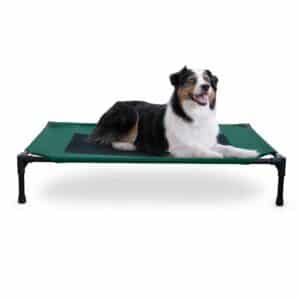 kh100546568-300x300 Original Pet Cot Elevated Pet Bed Large Green/Black 30″ x 42″ x 7″