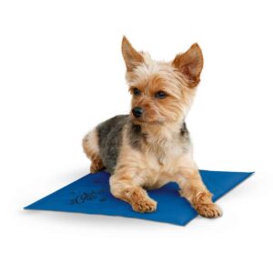 kh1767-300x300 Coolin Pet Pad