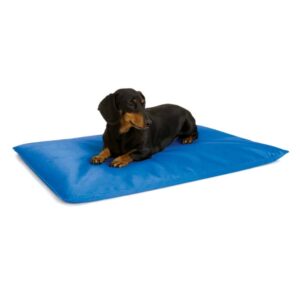 kh1770-300x300 Cool Bed III Thermoregulating Pet Bed