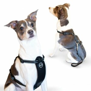 kh7834-300x300 Travel Safety Pet Harness Extra Large Black