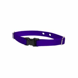 lp42518c-300x300 Lupine Pet 2 Hole Adjustable Nylon Replacement Collar Strap 3/4 inch Medium Purple