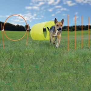 oh42003-300x300 Dog Agility Starter Kit Outdoor