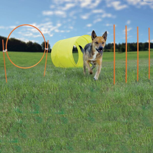oh42003-600x600 Dog Agility Starter Kit Outdoor