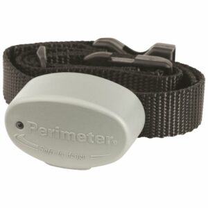 ptpfs-003-300x300 Comfort Contact Extra Receiver Collar
