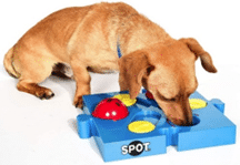 spotdoginteractivetoy Enhancing Pet Happiness: The Power of Enrichment Toys