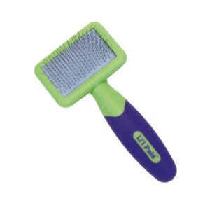 w6204-ncl00-300x300 Lil'l Pals Kitten Slicker Brush with Coated Tips