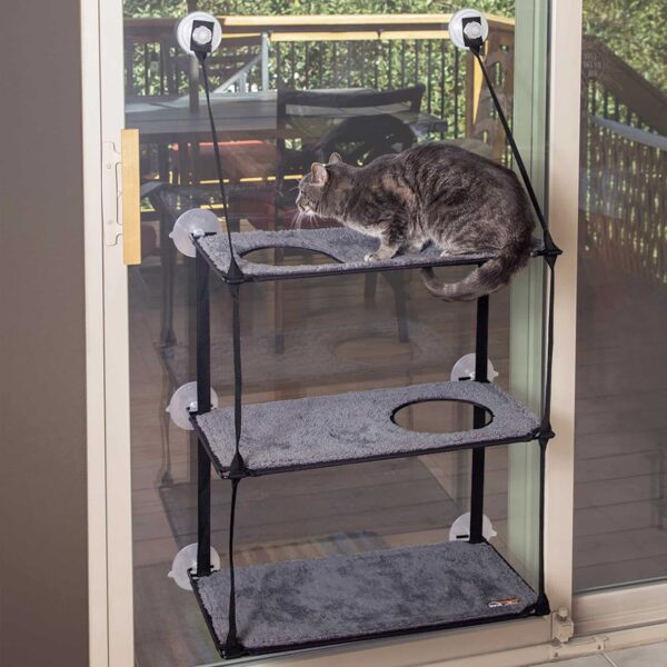 Cat Sill with 3 levels hanging on a window
