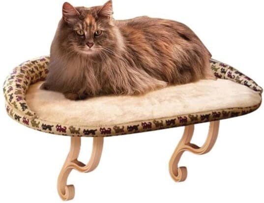 Long-haired cat sitting on a Cat Sill with a bolster cushion