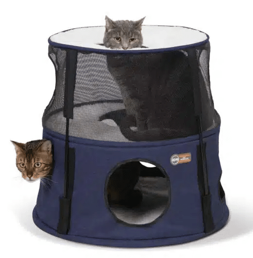 Blue two story cat tower with cats playing