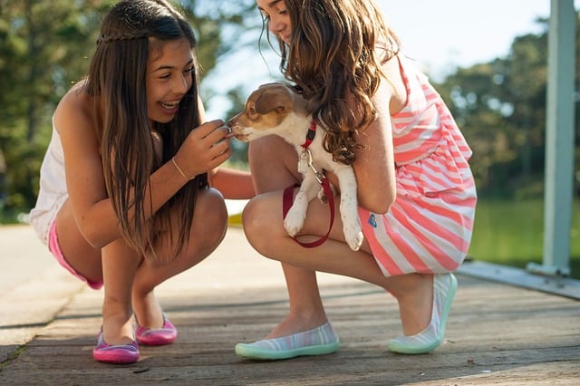 Two Young Girls Playing with a Small Dog