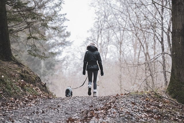 Woman Hiking with a Small Dog in the Woods